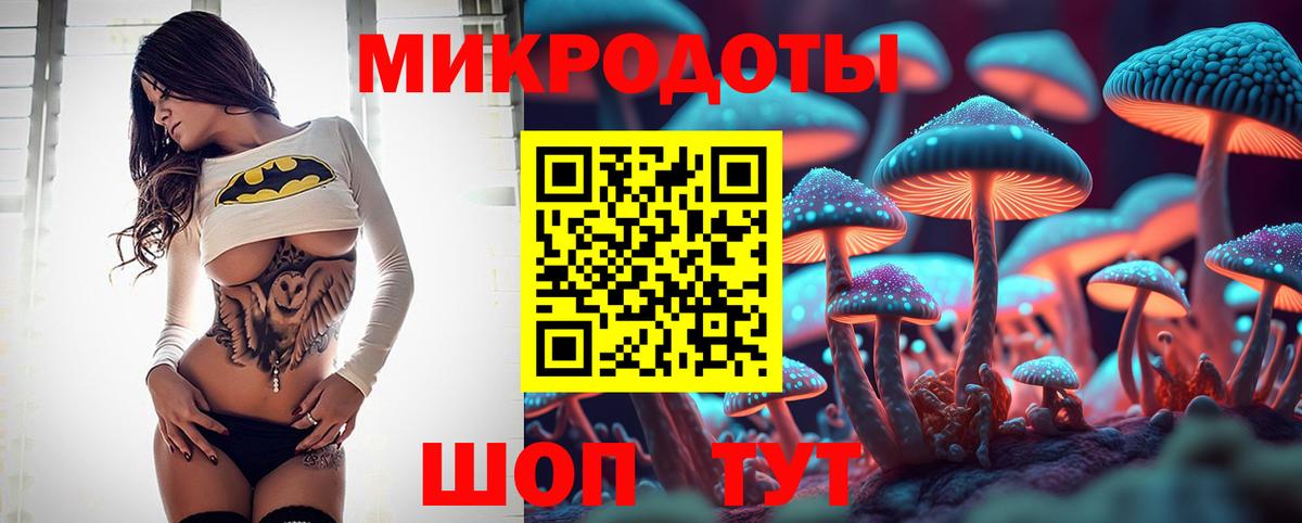 Псилоцибиновые грибы Psilocybine cubensis Иваново